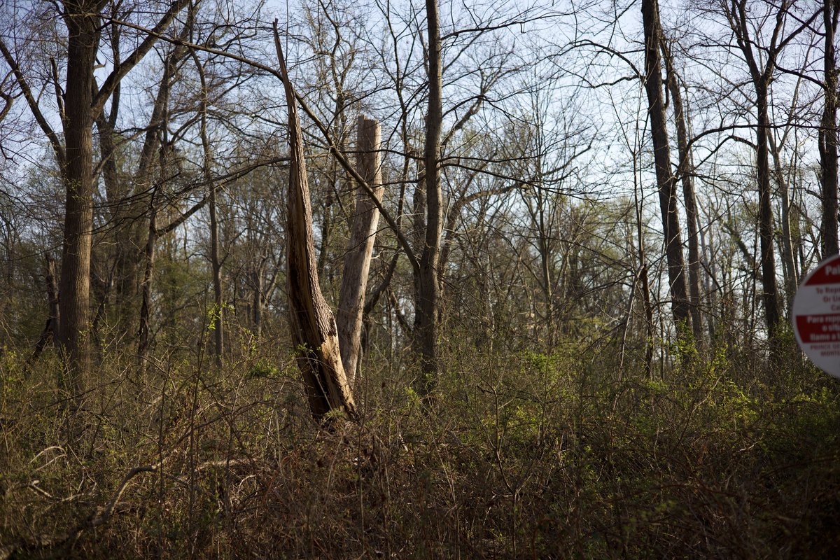 IMG_0630.jpg
