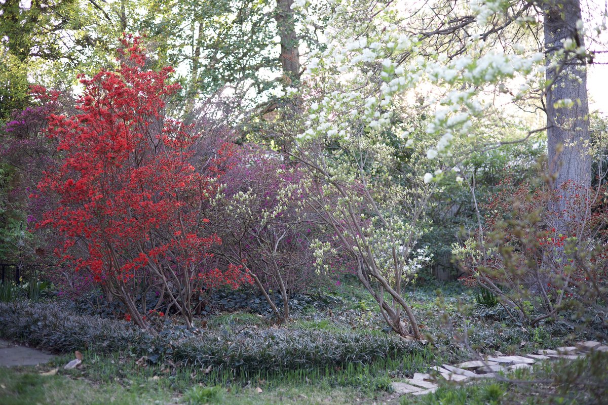 IMG_1205.jpg